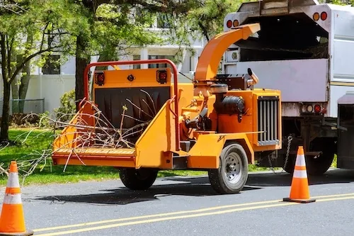 Stump Grinding